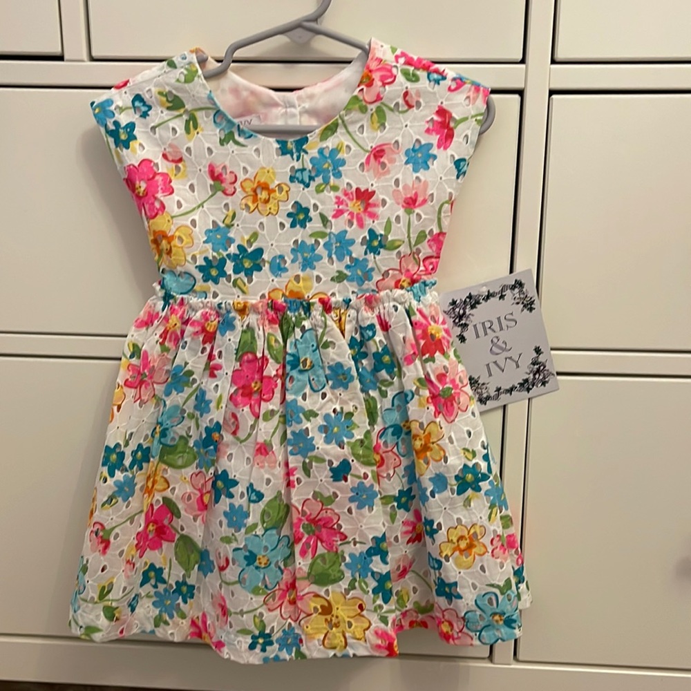 Iris & Ivy Multicolor Floral Dress